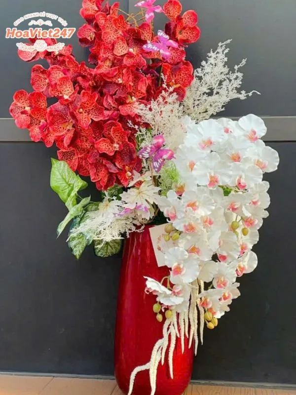 chậu hoa lan shop hoa tươi gia lai 