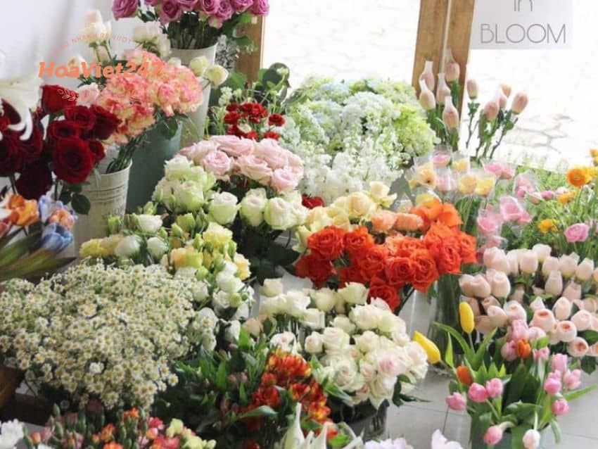 cửa hàng hoa tươi đăk nông