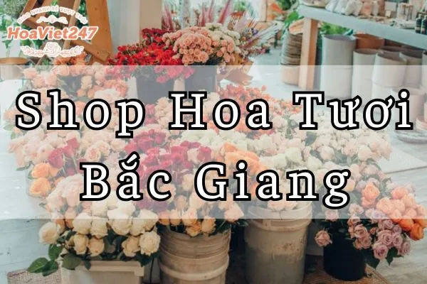 cửa hàng shop hoa tươi Bắc Giang