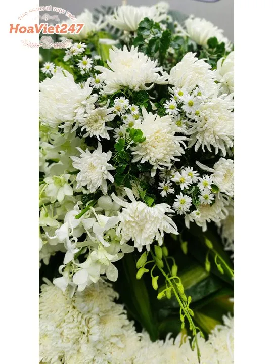 hoa chia buồn hcb010 cúc trắng