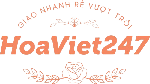 Hoa Việt 247