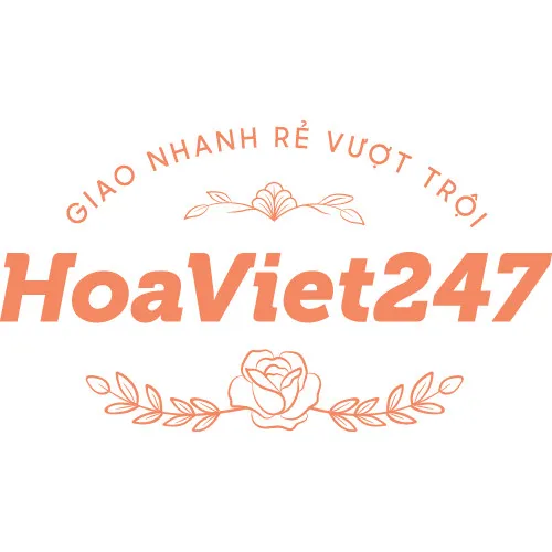 Hoa Việt 247
