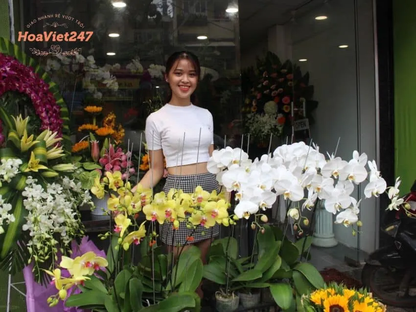 shop hoa cà mau đa dạng nhiều loại hoa