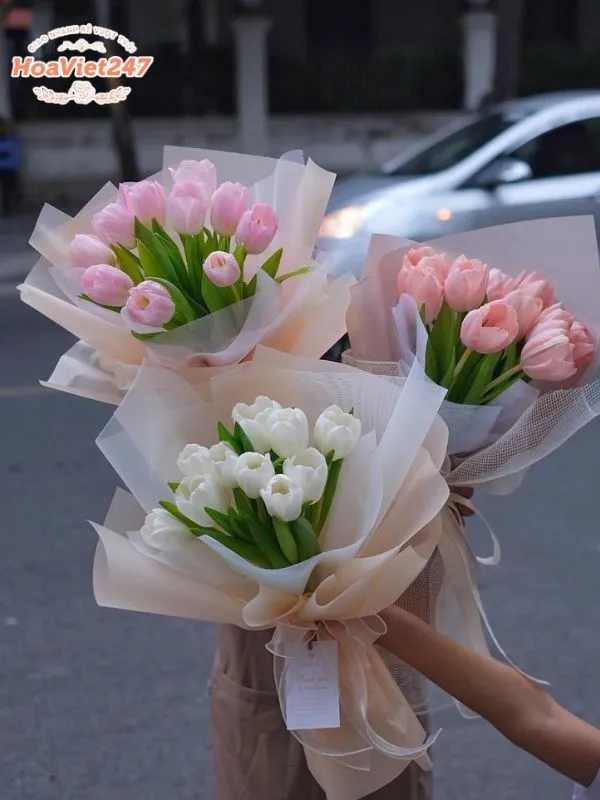 bó hoa tulip tại shop hoa phú thọ 