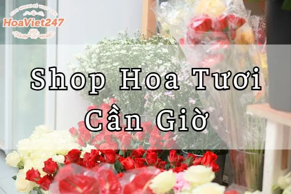 cửa hàng shop hoa tươi cần giờ