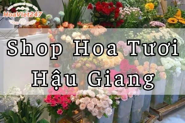cửa hàng shop hoa tươi hậu giang