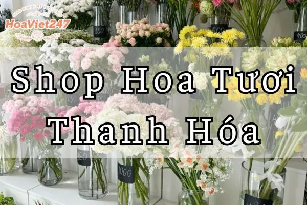 cửa hàng shop hoa tươi thanh hóa