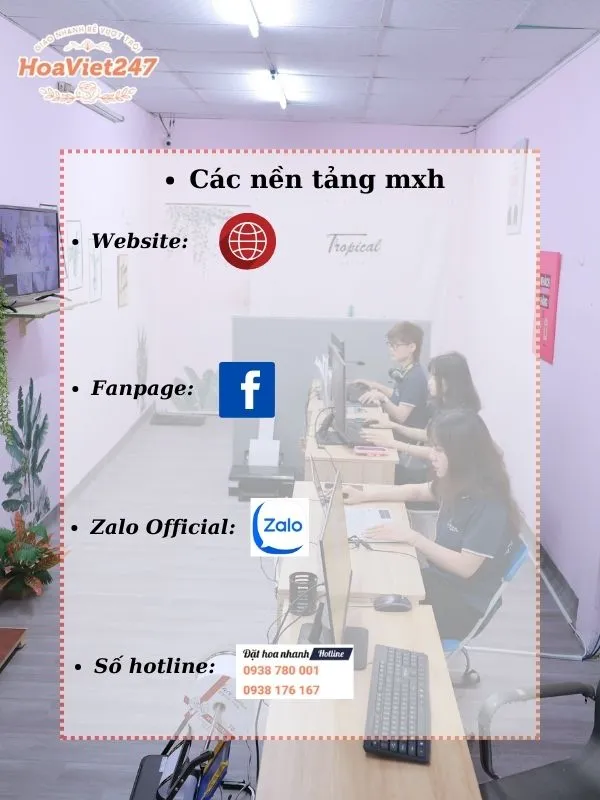 đặt online qua các nền tảng mảng xã hội