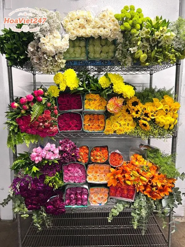 những loại hoa được yêu thích tại shop hoa hậu giang 
