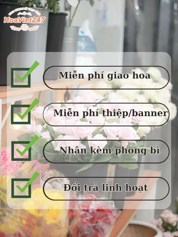 những lợi ích khi đặt hoa tươi bình thạnh 