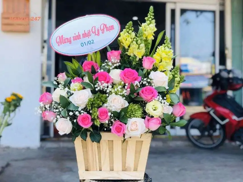 shop hoa huế