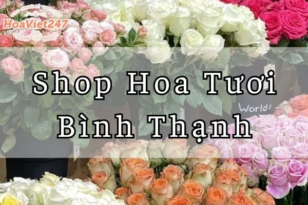 shop hoa tươi bình thạnh