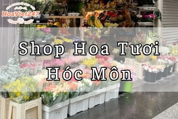 shop hoa tươi hóc môn