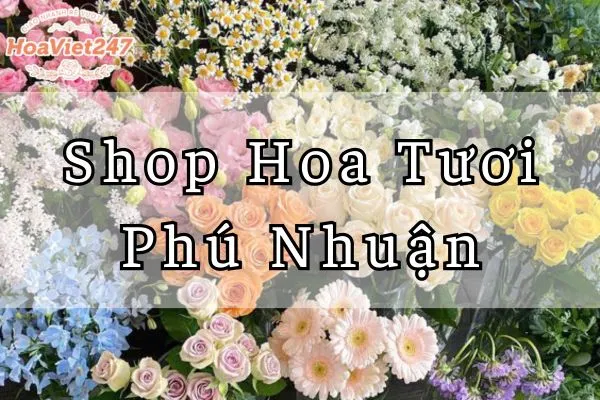 shop hoa tươi phú nhuận