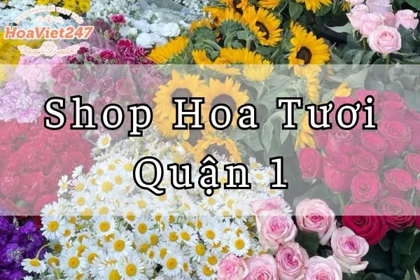 Shop Hoa Tuoi Quan 1