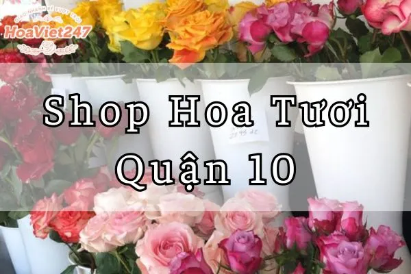 shop hoa tươi quận 10