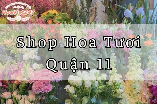 shop hoa tươi quận 11