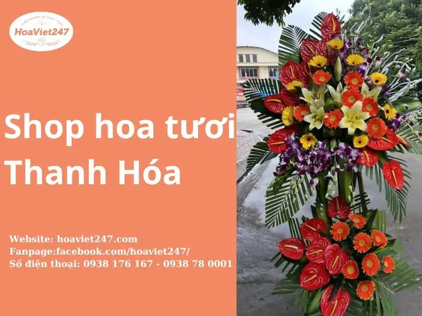 shop hoa tươi thanh hóa