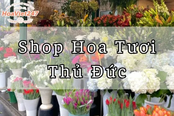 shop hoa tươi thủ đức