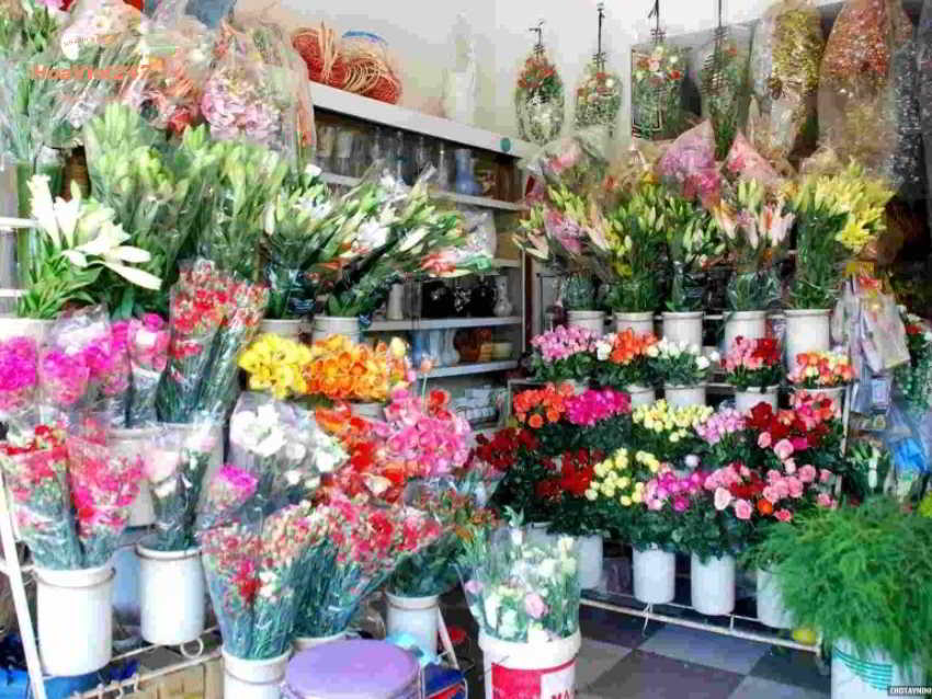đặt mua hoa tại shop hoa tươi nam từ liêm