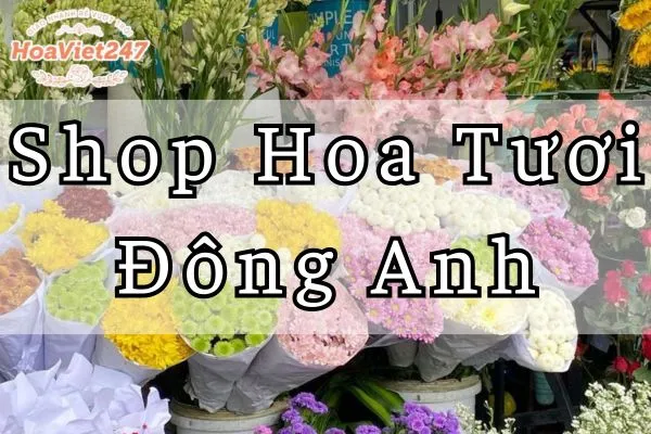 Shop Hoa Tuoi Dong Anh Giao Nhanh