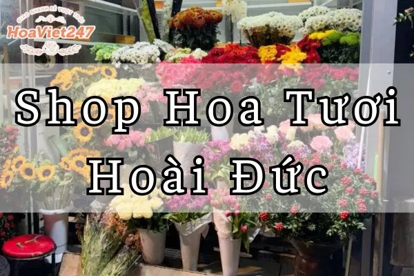 shop hoa tươi hoài đức chất lượng