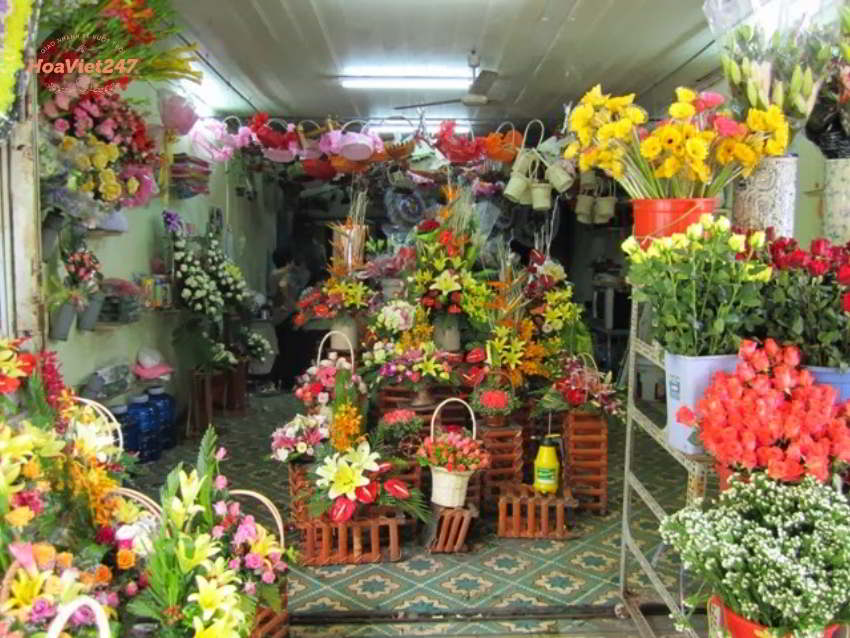 shop hoa tươi hoài đức cung cấp đa dạng mẫu hoa tươi 