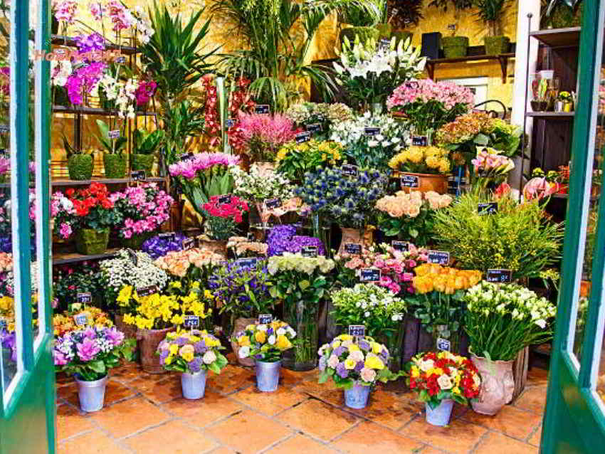 cửa hàng hoa tươi quốc oai 