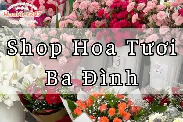 shop hoa tươi ba đình uy tín