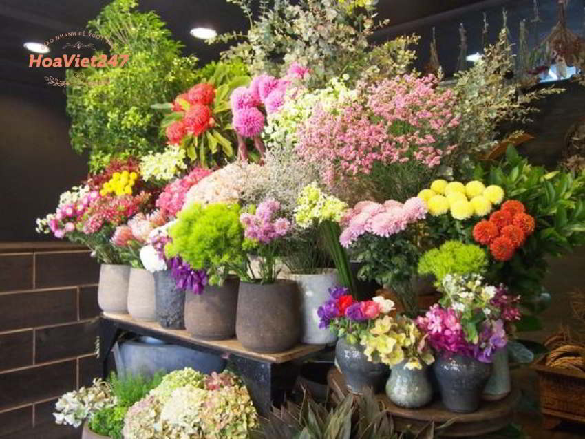 cửa hàng hoa tươi thanh xuân 