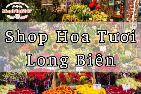 shop hoa tươi long biên uy tín