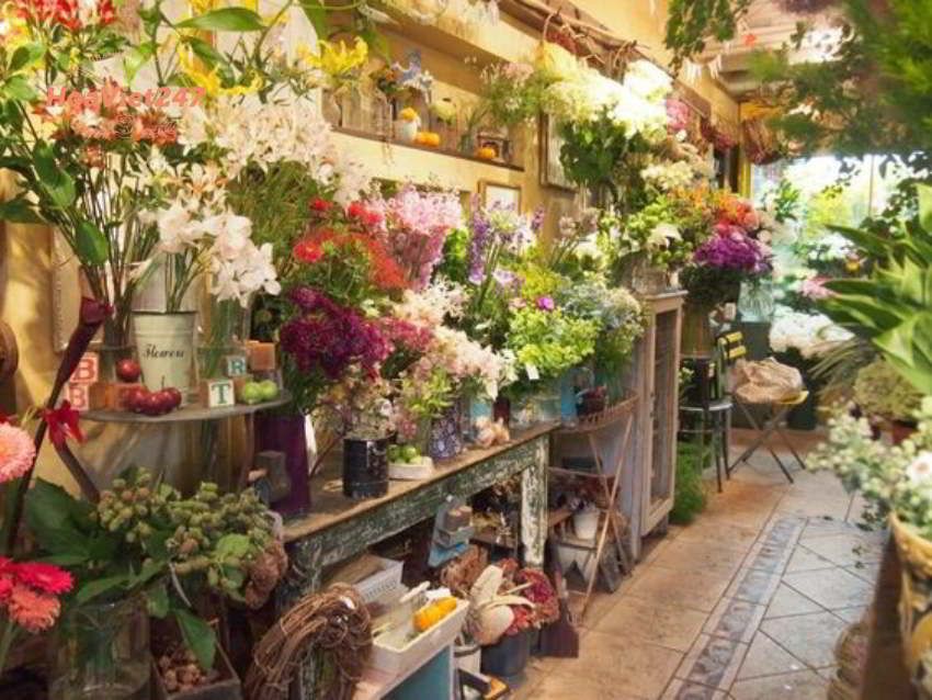 shop hoa tươi thanh xuân cung cấp hoa đa dạng 