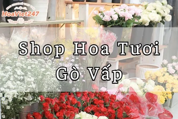 shop hoa tươi gò vấp