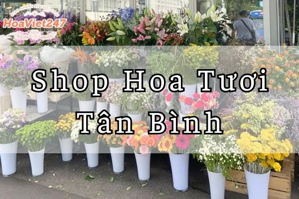 shop hoa tươi tân bình