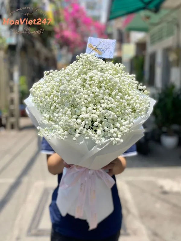 bó hoa baby trắng tinh khôi 