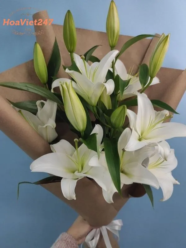 bó hoa ly tặng đồng nghiệp khách hàng đối tác 
