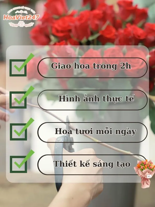 lý do nên chọn shop hoa tươi tân phú 