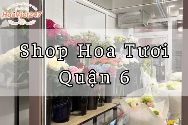 Shop Hoa Tuoi Quan 6