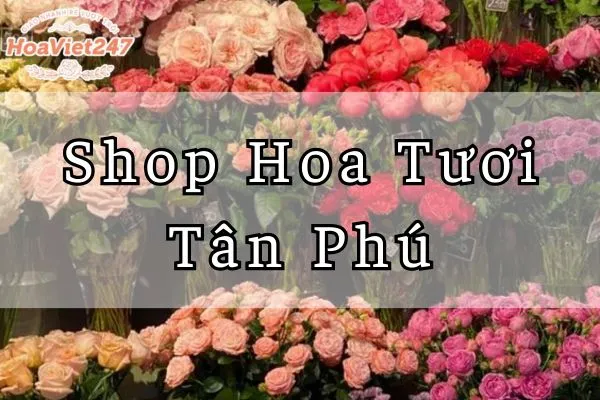 shop hoa tươi tân phú