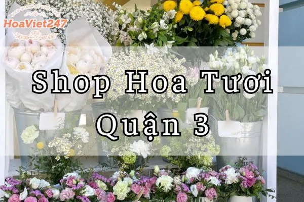 Shop Hoa Tuoi Quan 3