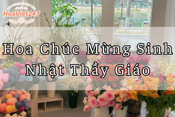 Bí quyết chọn hoa chúc mừng sinh nhật thầy cô giáo ý nghĩa