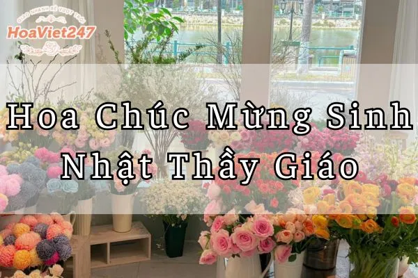 hoa chúc mừng sinh nhật thầy giáo