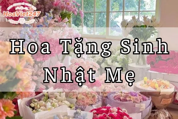 hoa tặng sinh nhật mẹ