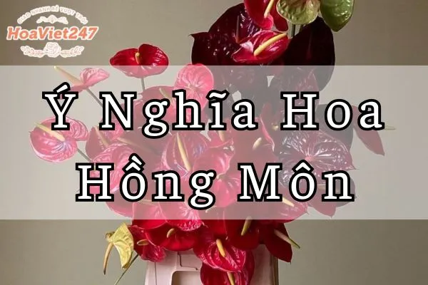 ý nghĩa hoa hồng môn