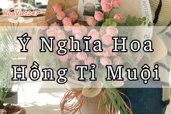 ý nghĩa hoa hồng tỉ muội