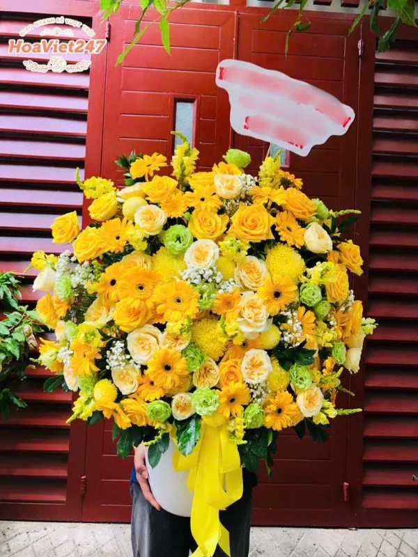 hoa tươi hoàng mai
