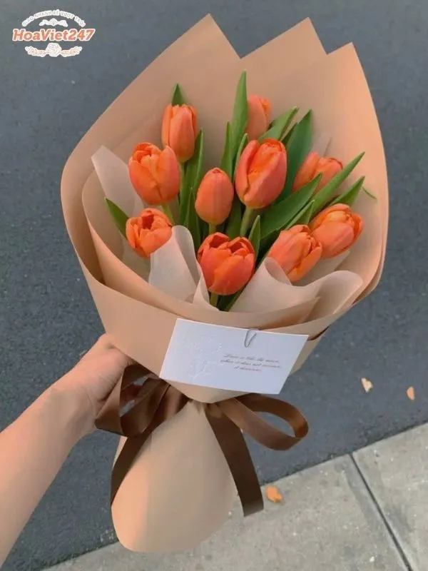 ý nghĩa hoa tulip cam