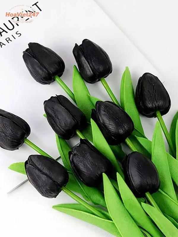 ý nghĩa hoa tulip đen