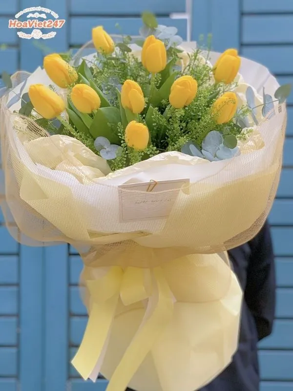 ý nghĩa hoa tulip vàng