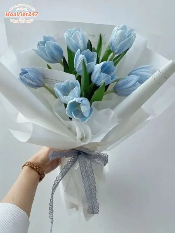 ý nghĩa hoa tulip xanh dương